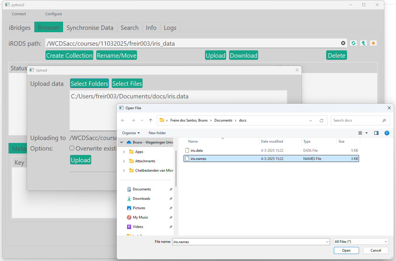 Upload files to collection